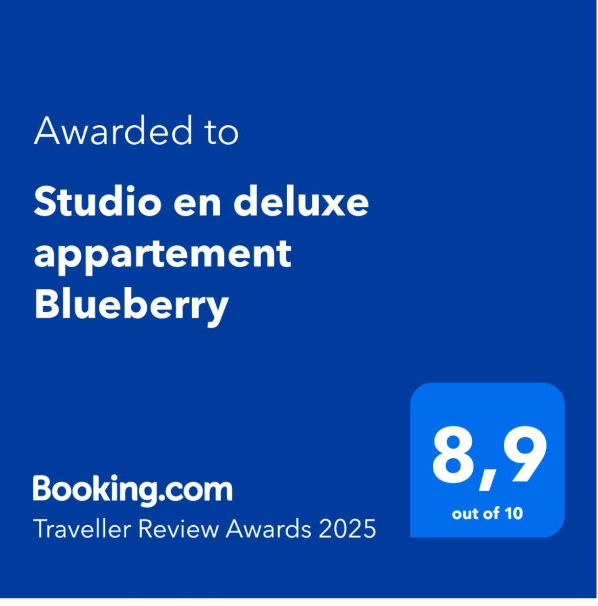 Studio En Deluxe Appartement Blueberry Zandvoort Luaran gambar
